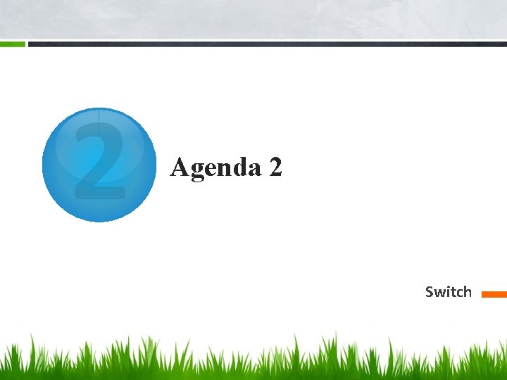 2 Agenda 2 Switch 