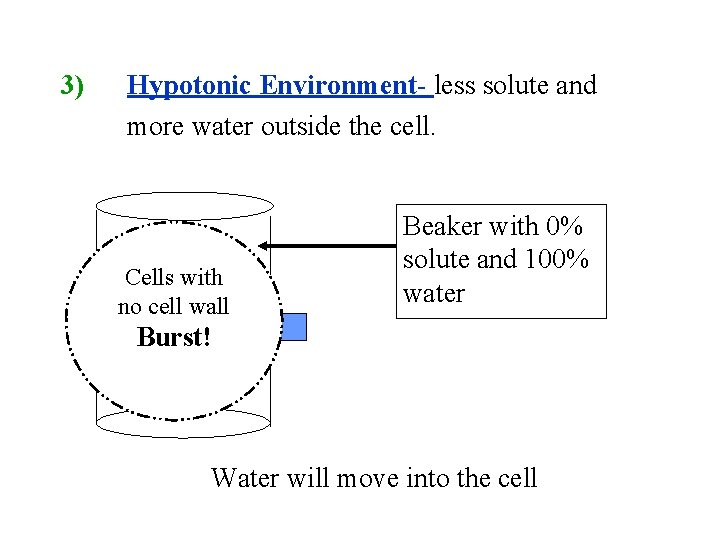 3) Hypotonic Environment- less solute and more water outside the cell. Cells with Cell