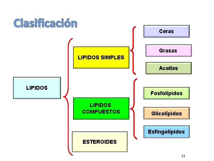 Clasificación Ceras Grasas LIPIDOS SIMPLES Aceites LIPIDOS Fosfolípidos LIPIDOS COMPUESTOS Glicolípidos Esfingolípidos ESTEROIDES 12 Clasificación Ceras Grasas LIPIDOS SIMPLES Aceites LIPIDOS Fosfolípidos LIPIDOS COMPUESTOS Glicolípidos Esfingolípidos ESTEROIDES 12
