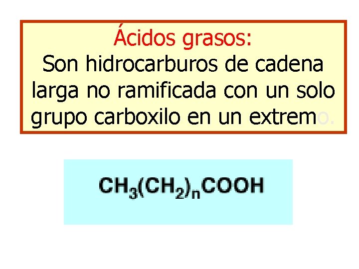 Ácidos grasos: Son hidrocarburos de cadena larga no ramificada con un solo grupo carboxilo Ácidos grasos: Son hidrocarburos de cadena larga no ramificada con un solo grupo carboxilo
