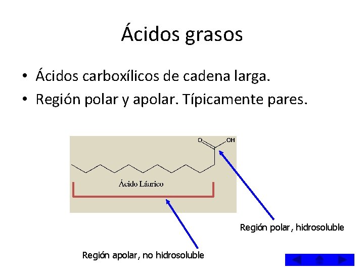 Ácidos grasos • Ácidos carboxílicos de cadena larga. • Región polar y apolar. Típicamente Ácidos grasos • Ácidos carboxílicos de cadena larga. • Región polar y apolar. Típicamente