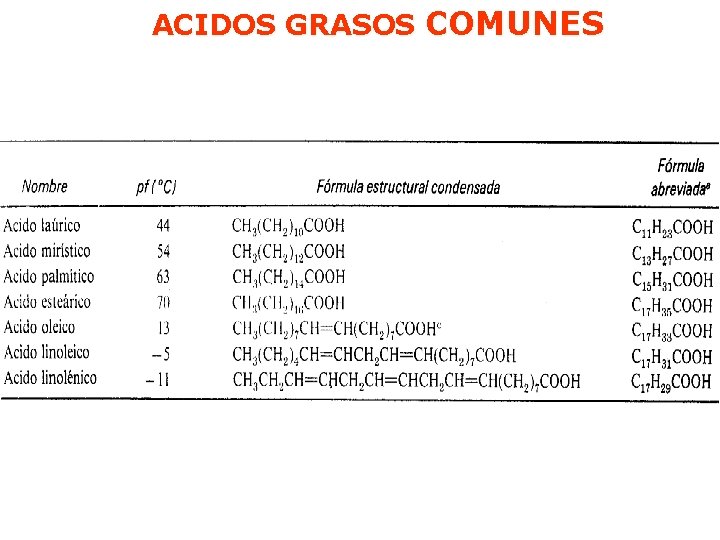 ACIDOS GRASOS COMUNES ACIDOS GRASOS COMUNES