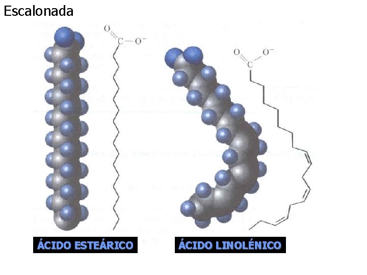 Escalonada ÁCIDO ESTEÁRICO ÁCIDO LINOLÉNICO Escalonada ÁCIDO ESTEÁRICO ÁCIDO LINOLÉNICO