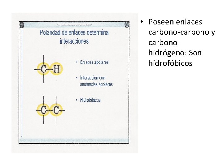 • Poseen enlaces carbono-carbono y carbonohidrógeno: Son hidrofóbicos • Poseen enlaces carbono-carbono y carbonohidrógeno: Son hidrofóbicos