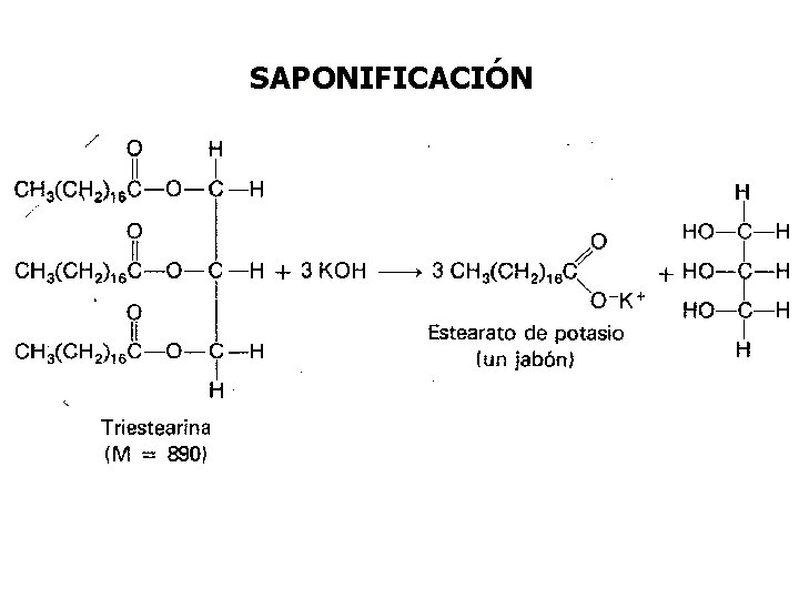 SAPONIFICACIÓN SAPONIFICACIÓN