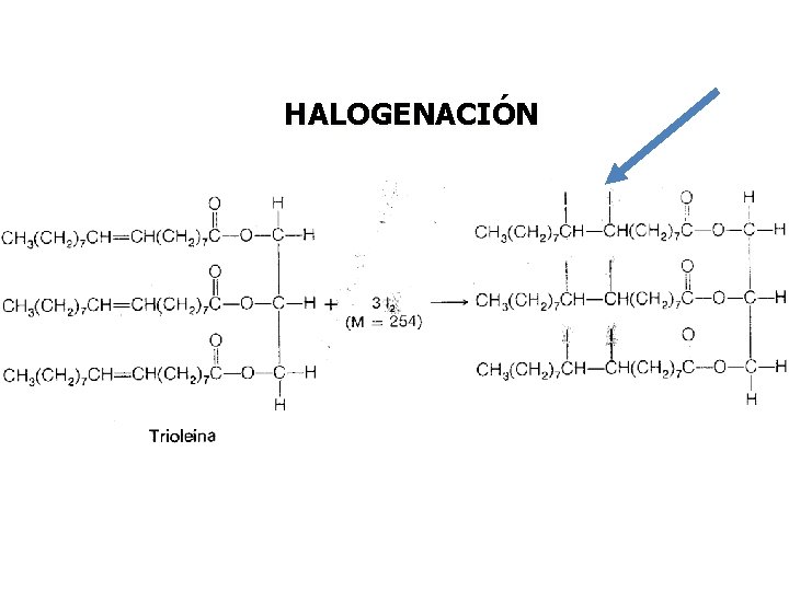 HALOGENACIÓN HALOGENACIÓN