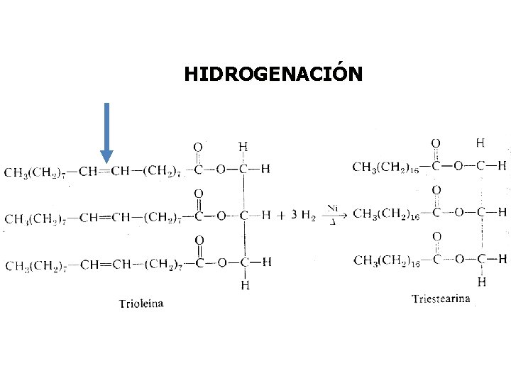 HIDROGENACIÓN HIDROGENACIÓN
