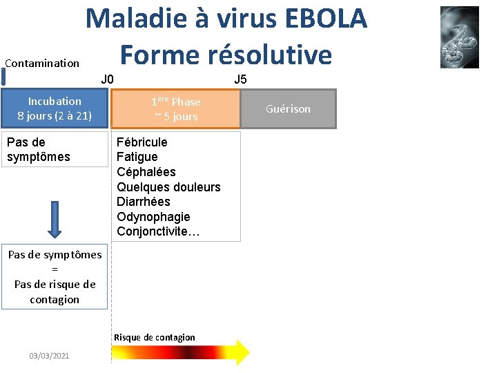 Maladie à virus EBOLA Forme résolutive Contamination J 0 Incubation 8 jours (2 à