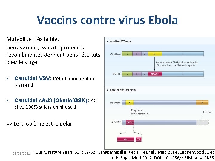 Vaccins contre virus Ebola Mutabilité très faible. Deux vaccins, issus de protéines recombinantes donnent