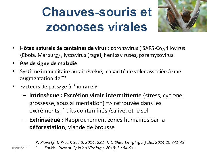 Chauves-souris et zoonoses virales • Hôtes naturels de centaines de virus : coronavirus (