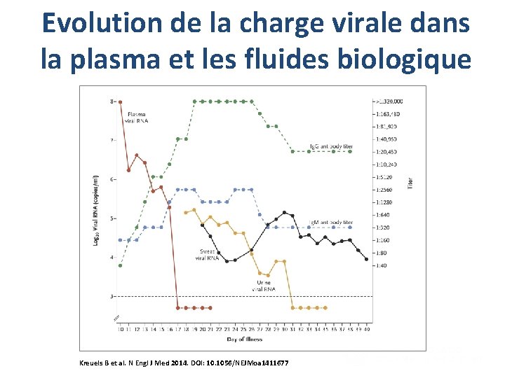 Evolution de la charge virale dans la plasma et les fluides biologique Timeline of