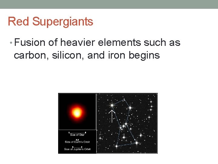 Red Supergiants • Fusion of heavier elements such as carbon, silicon, and iron begins