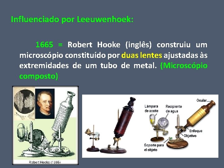 Influenciado por Leeuwenhoek: 1665 = Robert Hooke (inglês) construiu um microscópio constituído por duas