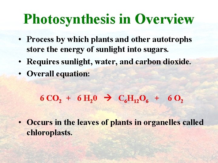 Photosynthesis in Overview • Process by which plants and other autotrophs store the energy