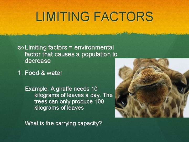 LIMITING FACTORS Limiting factors = environmental factor that causes a population to decrease 1.
