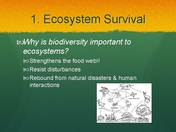 1. Ecosystem Survival Why is biodiversity important to ecosystems? Strengthens the food web!! Resist
