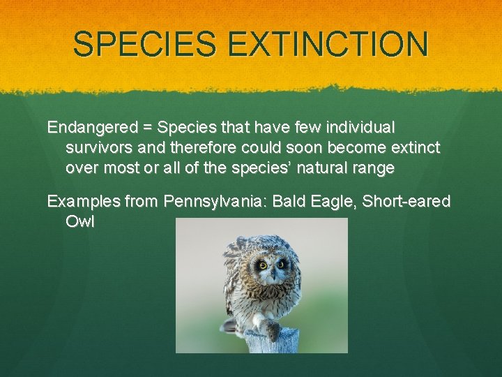 SPECIES EXTINCTION Endangered = Species that have few individual survivors and therefore could soon