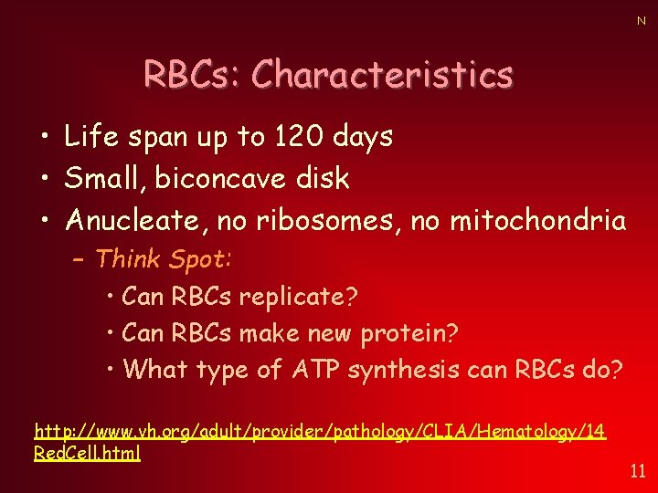 N RBCs: Characteristics • Life span up to 120 days • Small, biconcave disk N RBCs: Characteristics • Life span up to 120 days • Small, biconcave disk