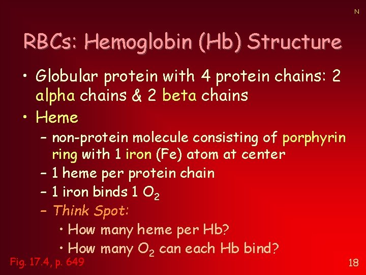 N RBCs: Hemoglobin (Hb) Structure • Globular protein with 4 protein chains: 2 alpha N RBCs: Hemoglobin (Hb) Structure • Globular protein with 4 protein chains: 2 alpha