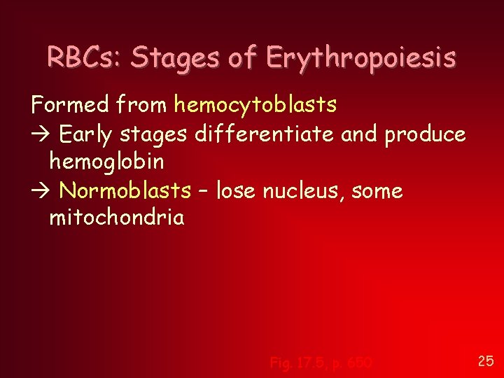 RBCs: Stages of Erythropoiesis Formed from hemocytoblasts Early stages differentiate and produce hemoglobin Normoblasts RBCs: Stages of Erythropoiesis Formed from hemocytoblasts Early stages differentiate and produce hemoglobin Normoblasts
