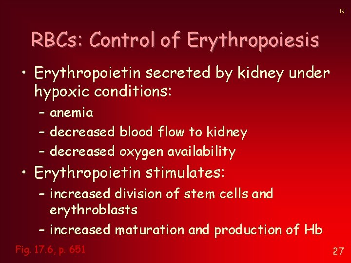 N RBCs: Control of Erythropoiesis • Erythropoietin secreted by kidney under hypoxic conditions: – N RBCs: Control of Erythropoiesis • Erythropoietin secreted by kidney under hypoxic conditions: –
