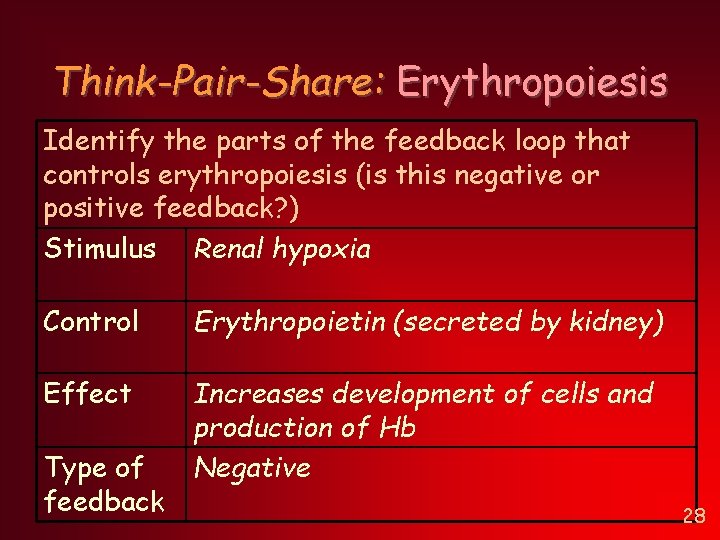 Think-Pair-Share: Erythropoiesis Identify the parts of the feedback loop that controls erythropoiesis (is this Think-Pair-Share: Erythropoiesis Identify the parts of the feedback loop that controls erythropoiesis (is this