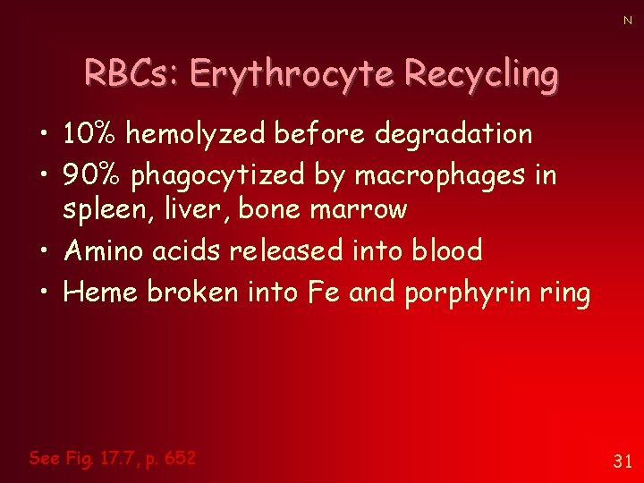 N RBCs: Erythrocyte Recycling • 10% hemolyzed before degradation • 90% phagocytized by macrophages N RBCs: Erythrocyte Recycling • 10% hemolyzed before degradation • 90% phagocytized by macrophages
