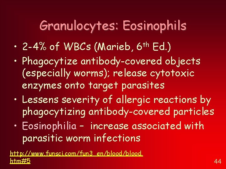 Granulocytes: Eosinophils • 2 -4% of WBCs (Marieb, 6 th Ed. ) • Phagocytize Granulocytes: Eosinophils • 2 -4% of WBCs (Marieb, 6 th Ed. ) • Phagocytize