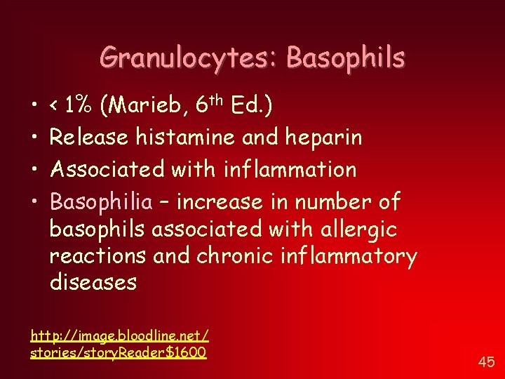 Granulocytes: Basophils • • < 1% (Marieb, 6 th Ed. ) Release histamine and Granulocytes: Basophils • • < 1% (Marieb, 6 th Ed. ) Release histamine and