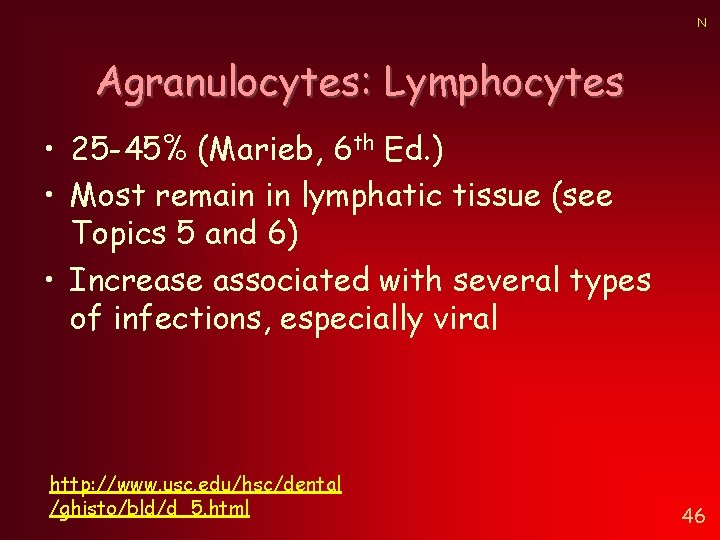 N Agranulocytes: Lymphocytes • 25 -45% (Marieb, 6 th Ed. ) • Most remain N Agranulocytes: Lymphocytes • 25 -45% (Marieb, 6 th Ed. ) • Most remain