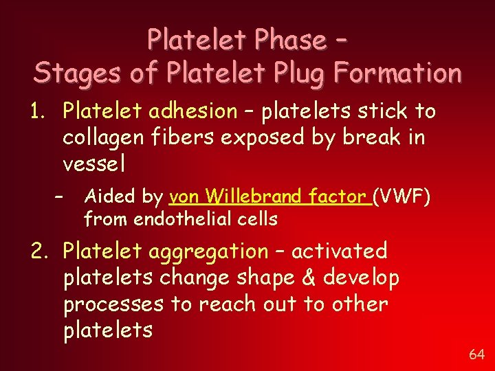 Platelet Phase – Stages of Platelet Plug Formation 1. Platelet adhesion – platelets stick Platelet Phase – Stages of Platelet Plug Formation 1. Platelet adhesion – platelets stick