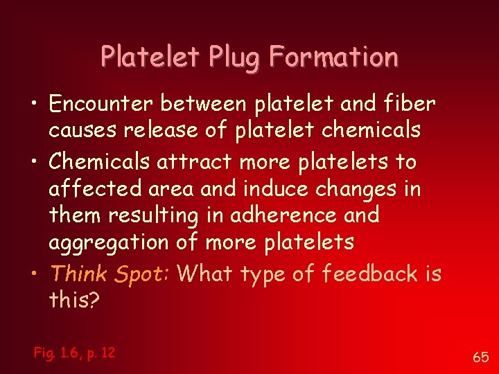 Platelet Plug Formation • Encounter between platelet and fiber causes release of platelet chemicals Platelet Plug Formation • Encounter between platelet and fiber causes release of platelet chemicals