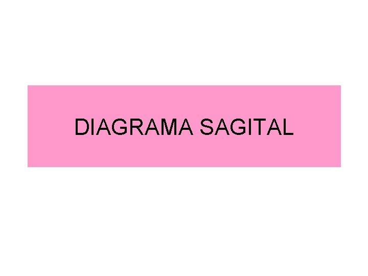 DIAGRAMA SAGITAL 