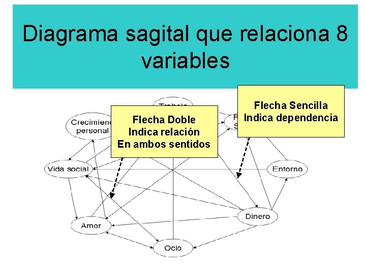 Diagrama sagital que relaciona 8 variables Flecha Doble Indica relación En ambos sentidos Flecha