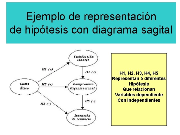 Ejemplo de representación de hipótesis con diagrama sagital H 1, H 2, H 3,