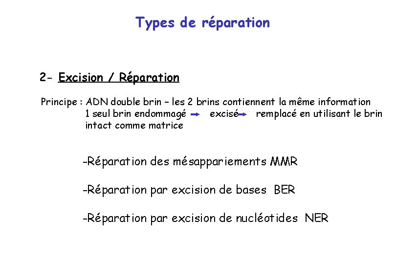 Types de réparation 2 - Excision / Réparation Principe : ADN double brin –