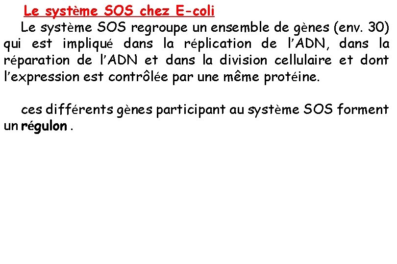  Le système SOS chez E-coli Le système SOS regroupe un ensemble de gènes