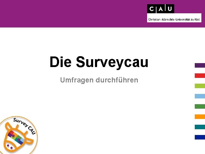 Die Surveycau Umfragen durchführen 