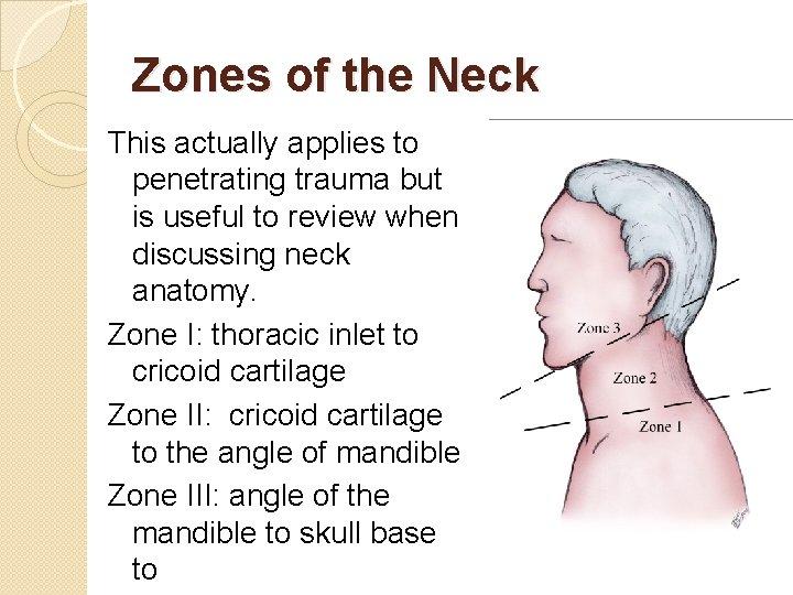 Zones of the Neck This actually applies to penetrating trauma but is useful to