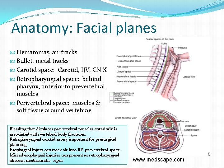 Anatomy: Facial planes Hematomas, air tracks Bullet, metal tracks Carotid space: Carotid, IJV, CN
