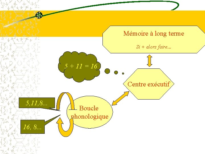 Mémoire à long terme Si + alors faire. . . 5 + 11 =