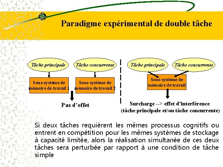 Paradigme expérimental de double tâche Tâche principale Tâche concurrente Sous-système de mémoire de travail