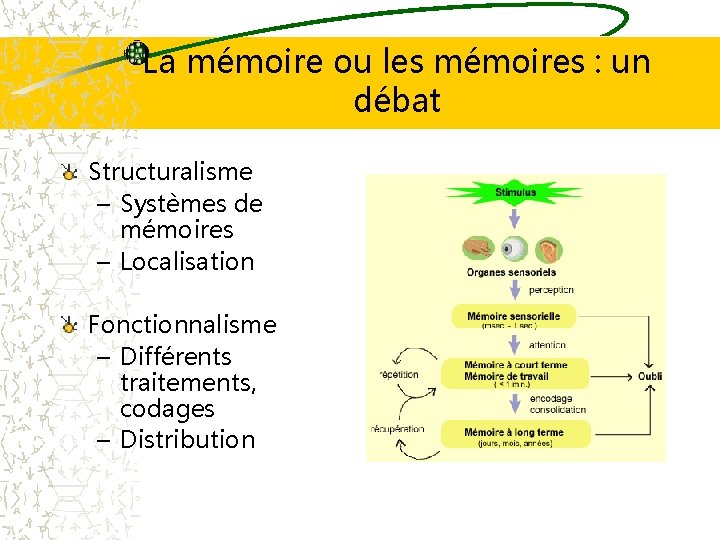La mémoire ou les mémoires : un débat Structuralisme – Systèmes de mémoires –