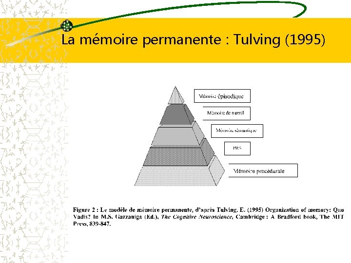 La mémoire permanente : Tulving (1995) 
