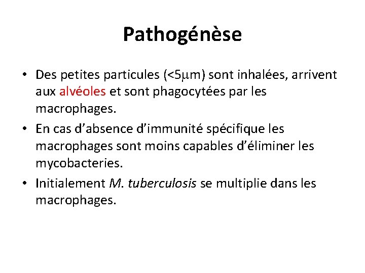 Pathogénèse • Des petites particules (<5 m) sont inhalées, arrivent aux alvéoles et sont