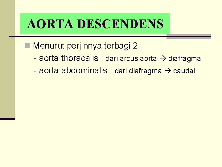 AORTA DESCENDENS n Menurut perjlnnya terbagi 2: - aorta thoracalis : dari arcus aorta
