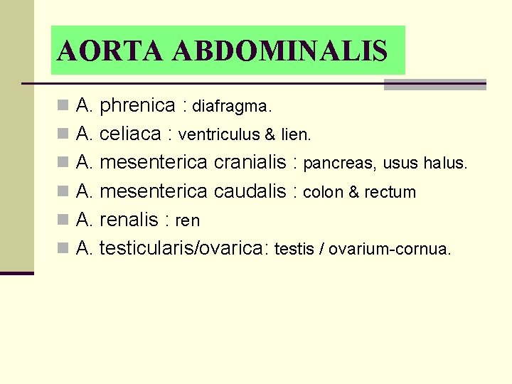 AORTA ABDOMINALIS n A. phrenica : diafragma. n A. celiaca : ventriculus & lien.