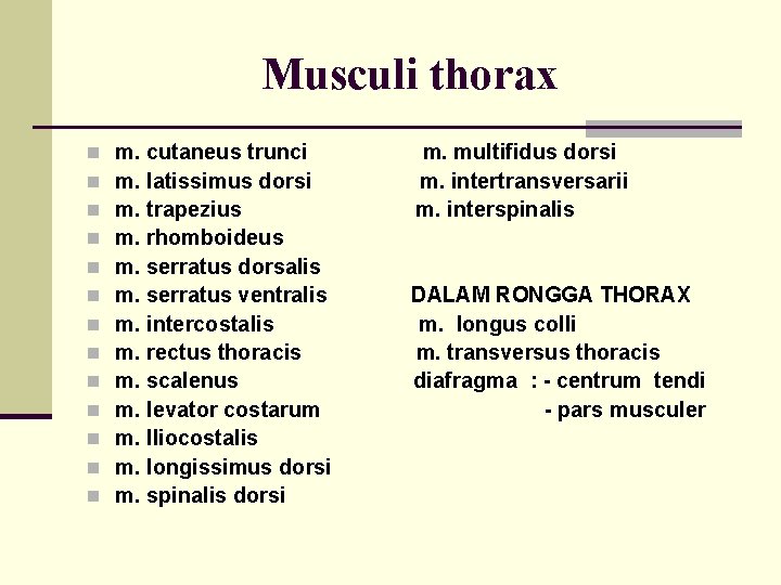 Musculi thorax n n n n m. cutaneus trunci m. latissimus dorsi m. trapezius