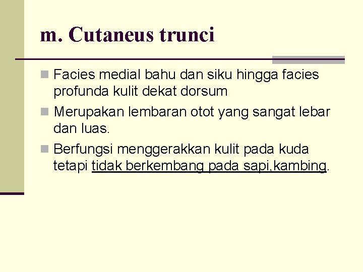 m. Cutaneus trunci n Facies medial bahu dan siku hingga facies profunda kulit dekat