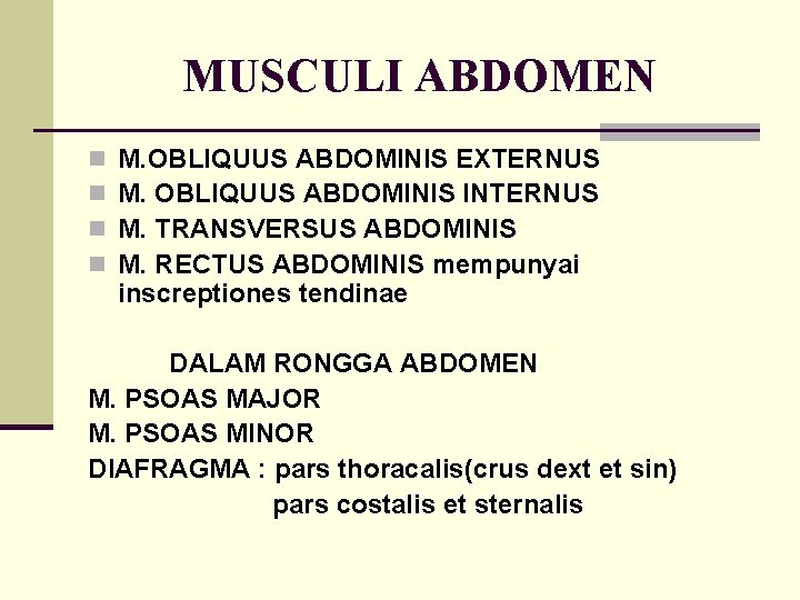 MUSCULI ABDOMEN n n M. OBLIQUUS ABDOMINIS EXTERNUS M. OBLIQUUS ABDOMINIS INTERNUS M. TRANSVERSUS